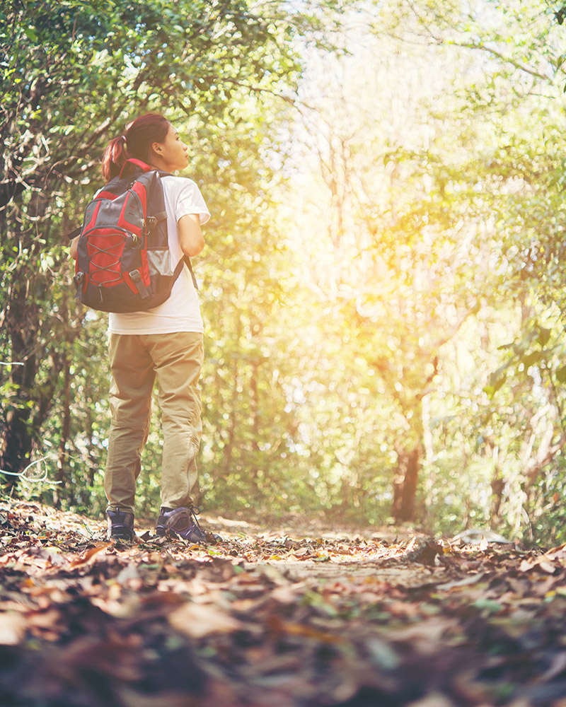 Naturaleza y actividad